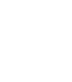 Apple icon